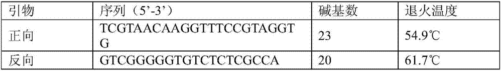 Method of identifying molecules of culter alburnus, triangular bream and hybrid generation of culter alburnus and triangular bream