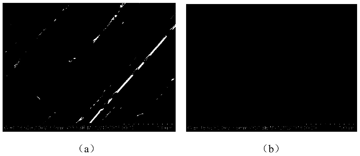 Wood bamboo material with super-hydrophobic mildew-proof anticorrosive coating and preparation method thereof