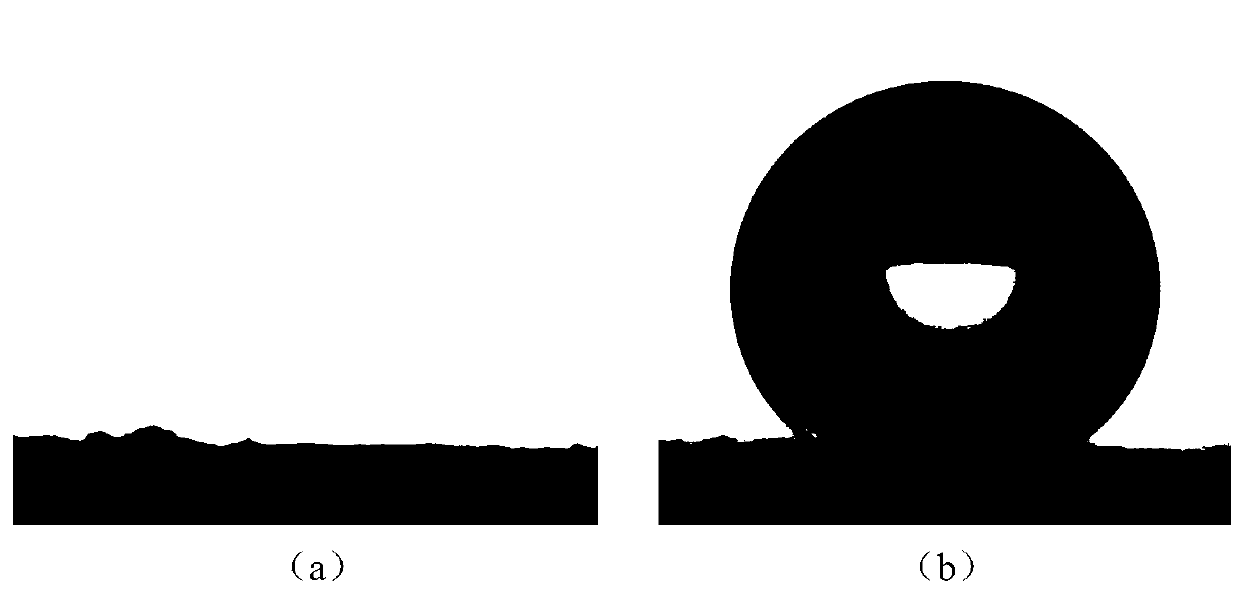 Wood bamboo material with super-hydrophobic mildew-proof anticorrosive coating and preparation method thereof