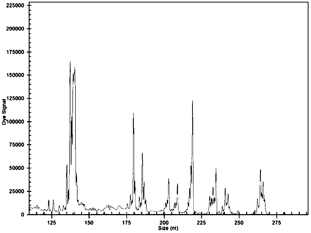 Compound amplification system and kit for detecting chromosome deficiency