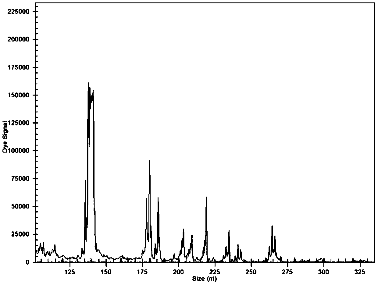 Compound amplification system and kit for detecting chromosome deficiency