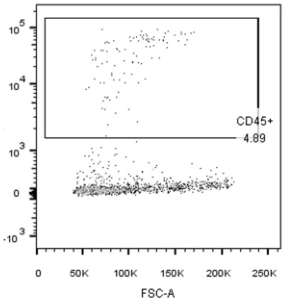 Seminal fluid leukocyte group flow type quantitative detection reagent, kit and detection method