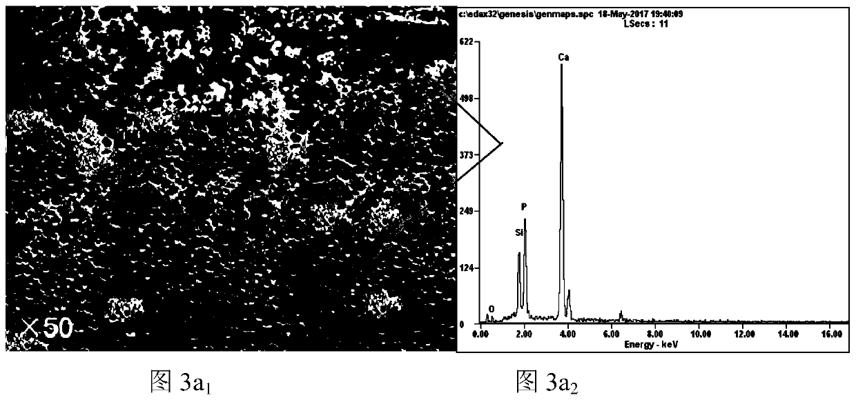 A method for promoting the aggregation and growth of phosphorus-enriched phase particles in dephosphorization slag