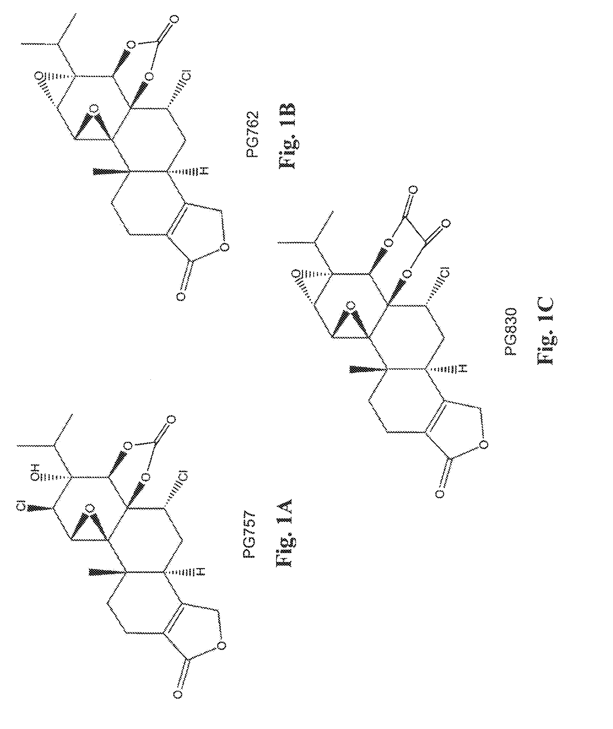 Triptolide c-ring derivatives as anticancer agents and immune modulators