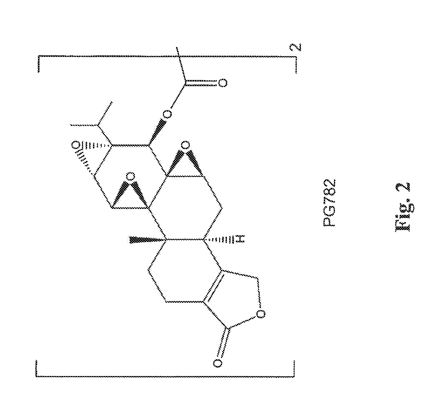 Triptolide c-ring derivatives as anticancer agents and immune modulators