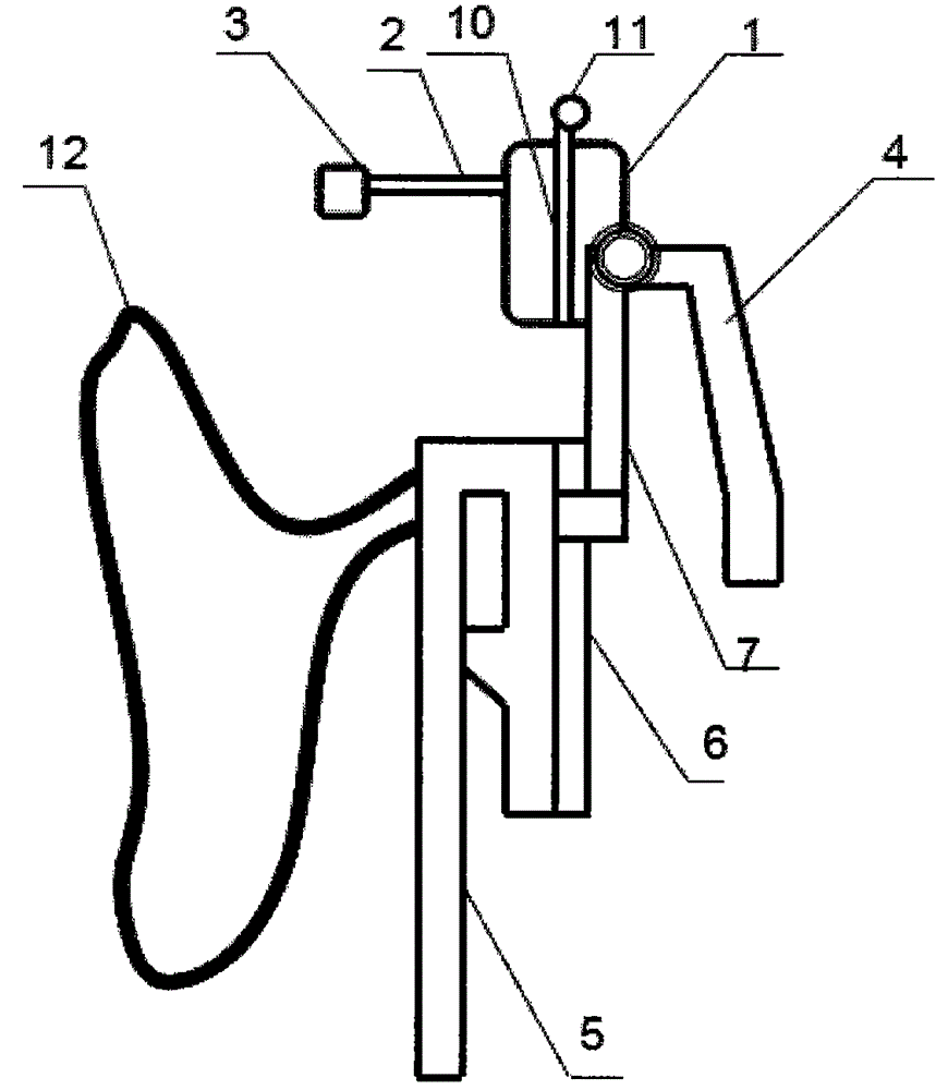 Asthma spraying device