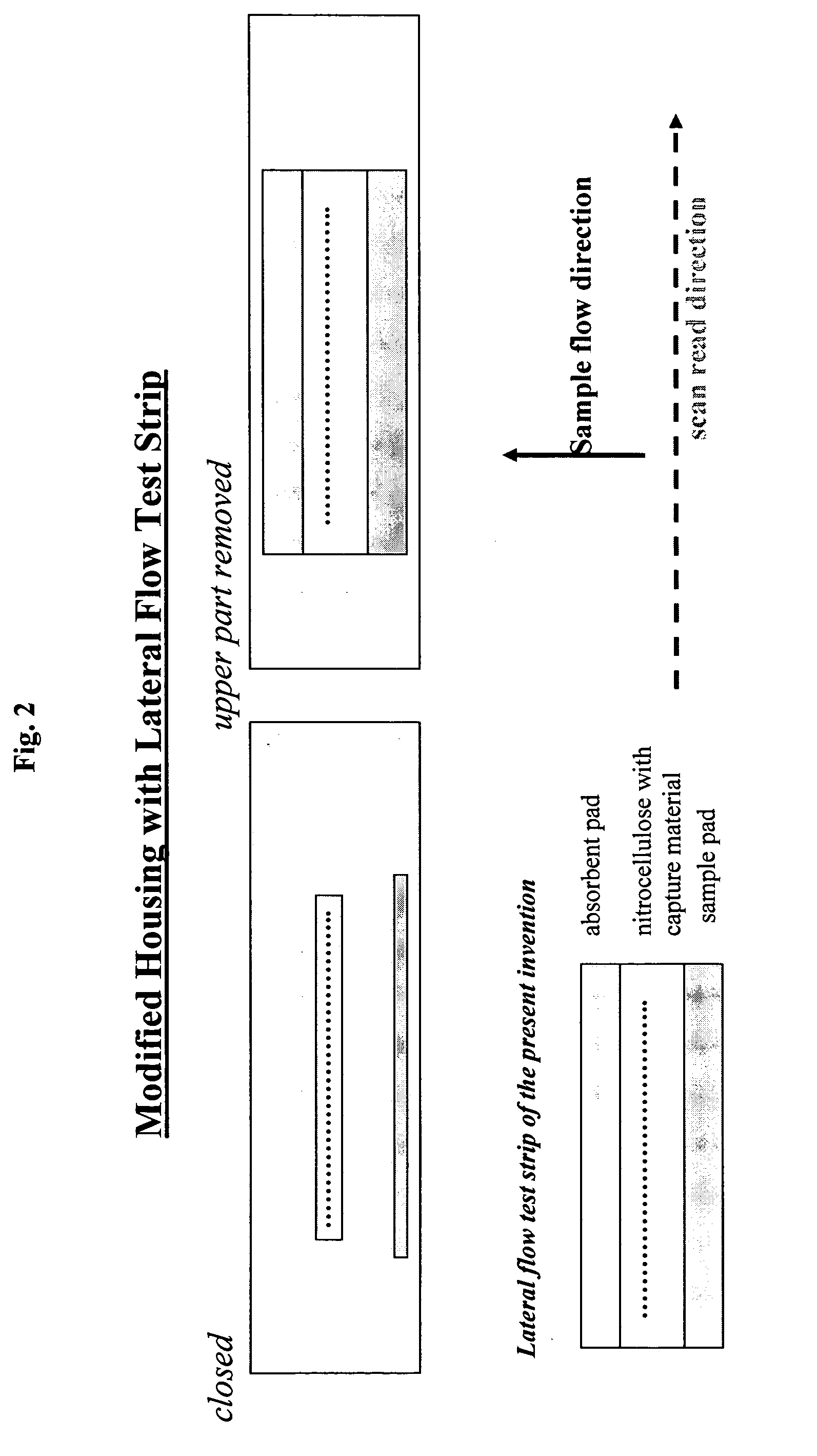 Lateral flow assay device with multiple equidistant capture zones