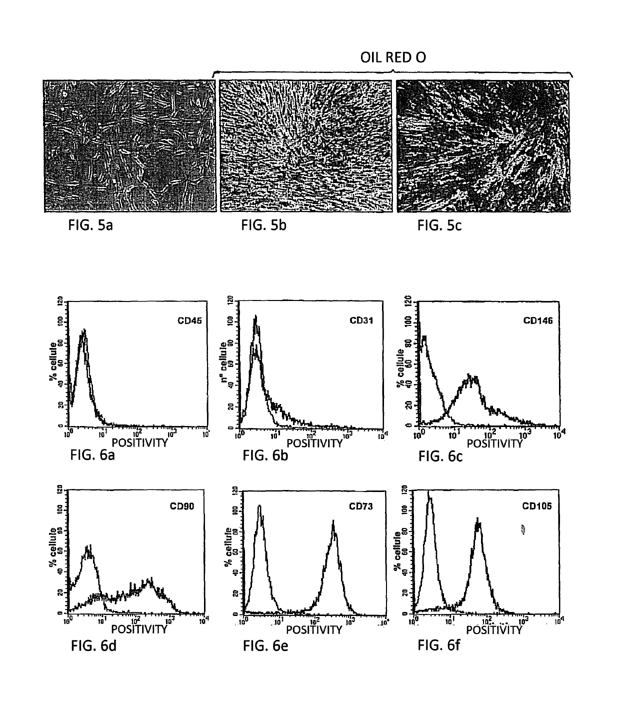 Method of obtaining a population of cells