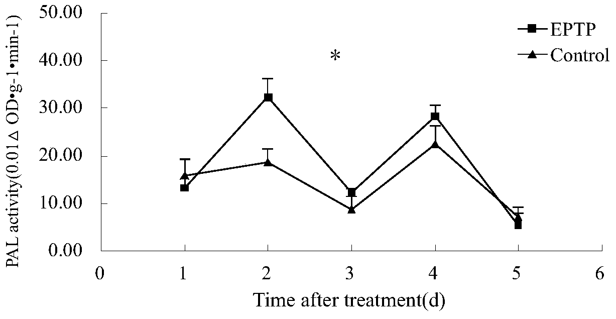 A penicillium protein elicitor eptp and its application in improving plant disease resistance