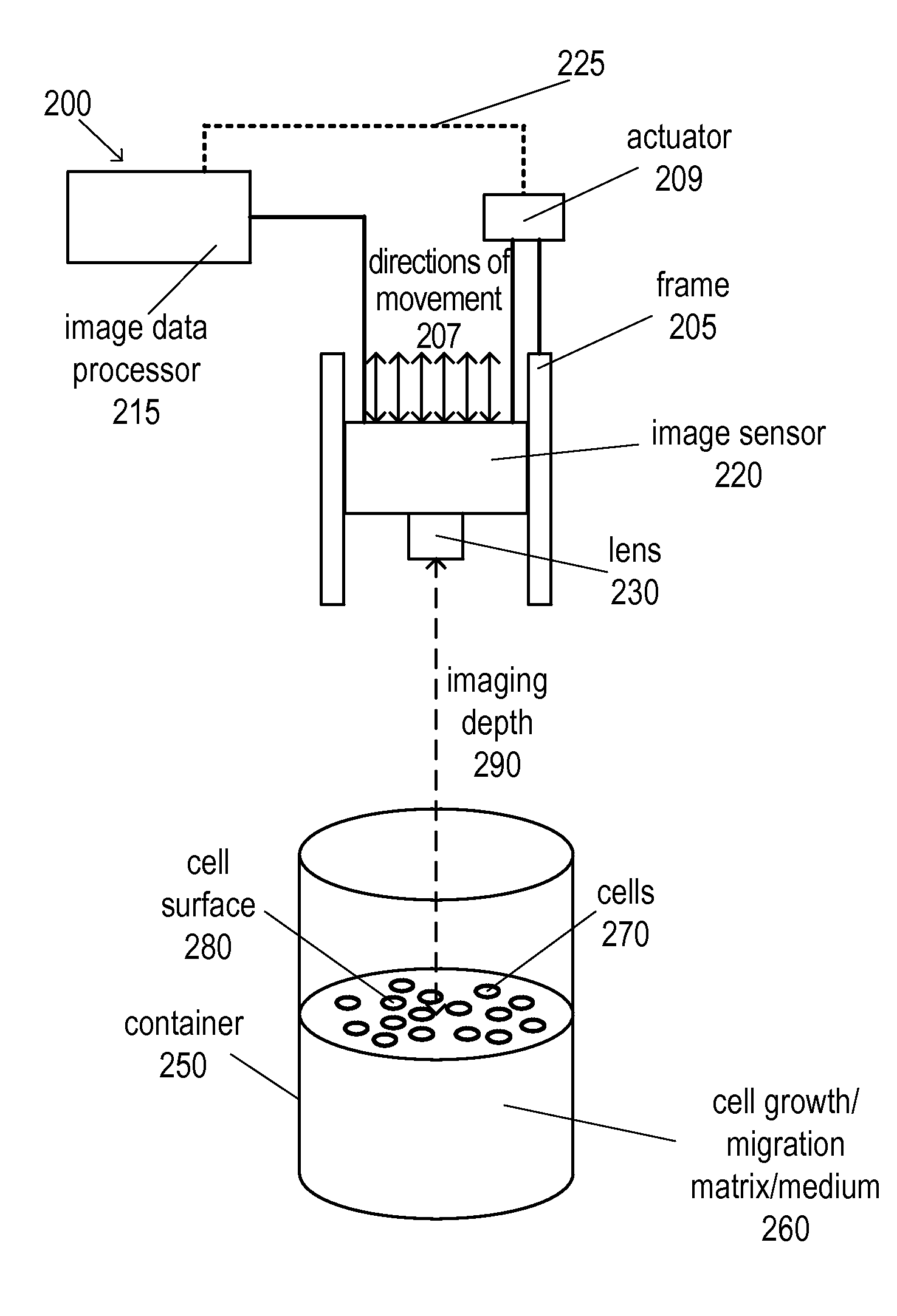 Automated Cell Growth/Migration Detection System And Associated Methods