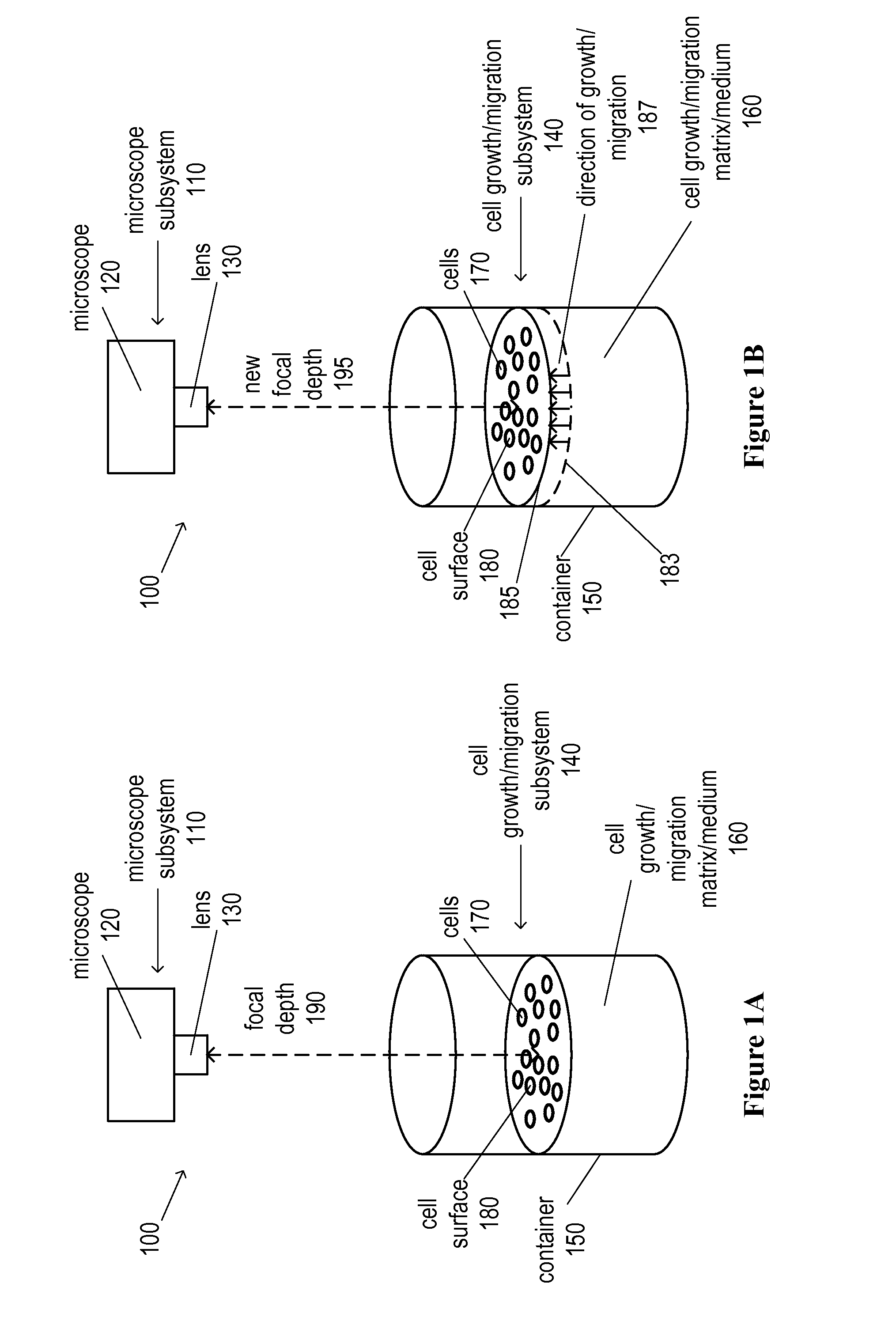 Automated Cell Growth/Migration Detection System And Associated Methods