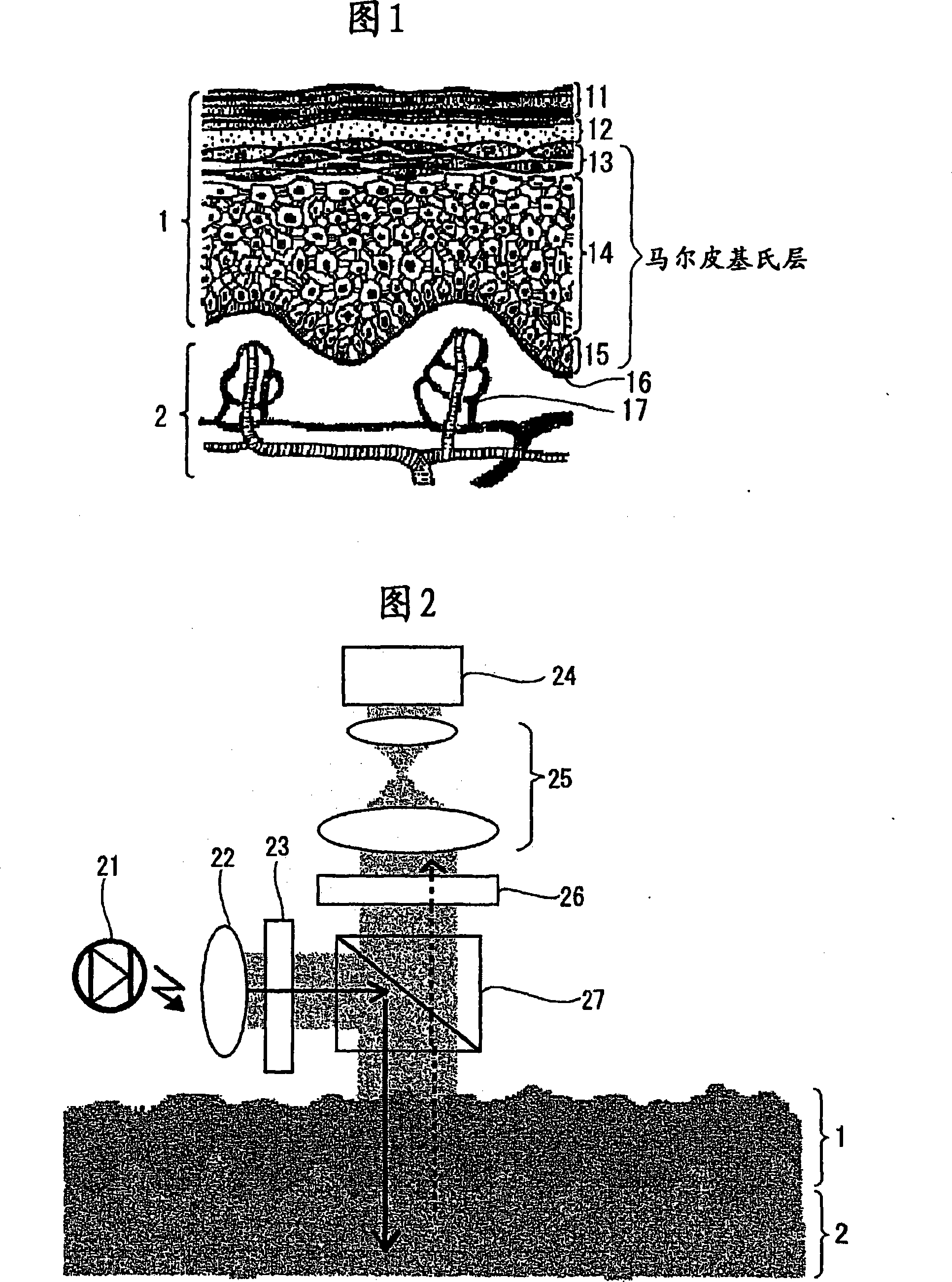 Living-tissue pattern detecting method, living-tissue pattern detecting device, biometric authentication method, and biometric authentication device