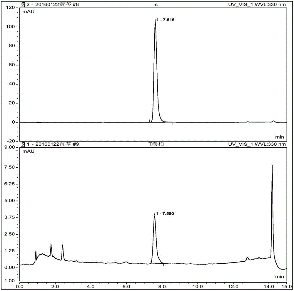 Extraction method for amentoflavone in Selaginella tamariscina