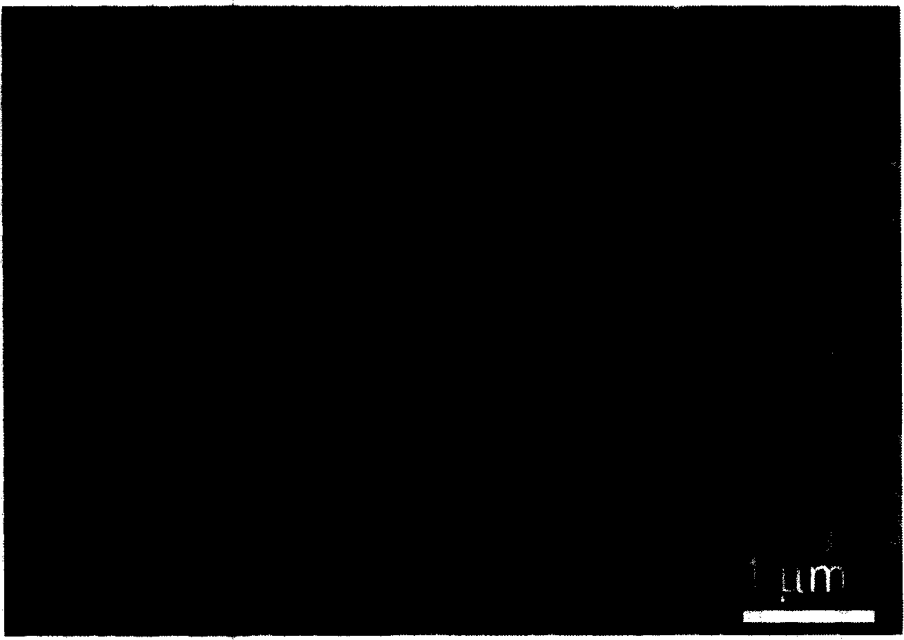 Noble metal carrier catalyst, preparing method and applications thereof