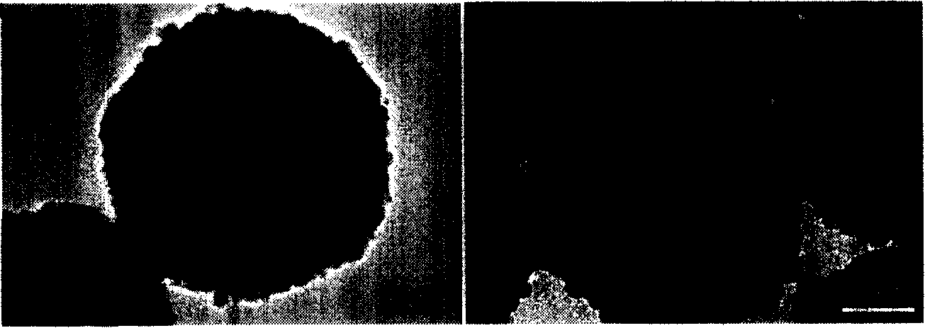 Noble metal carrier catalyst, preparing method and applications thereof