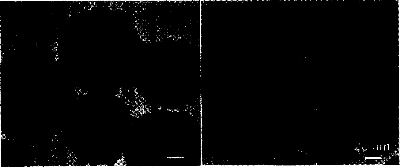 Noble metal carrier catalyst, preparing method and applications thereof