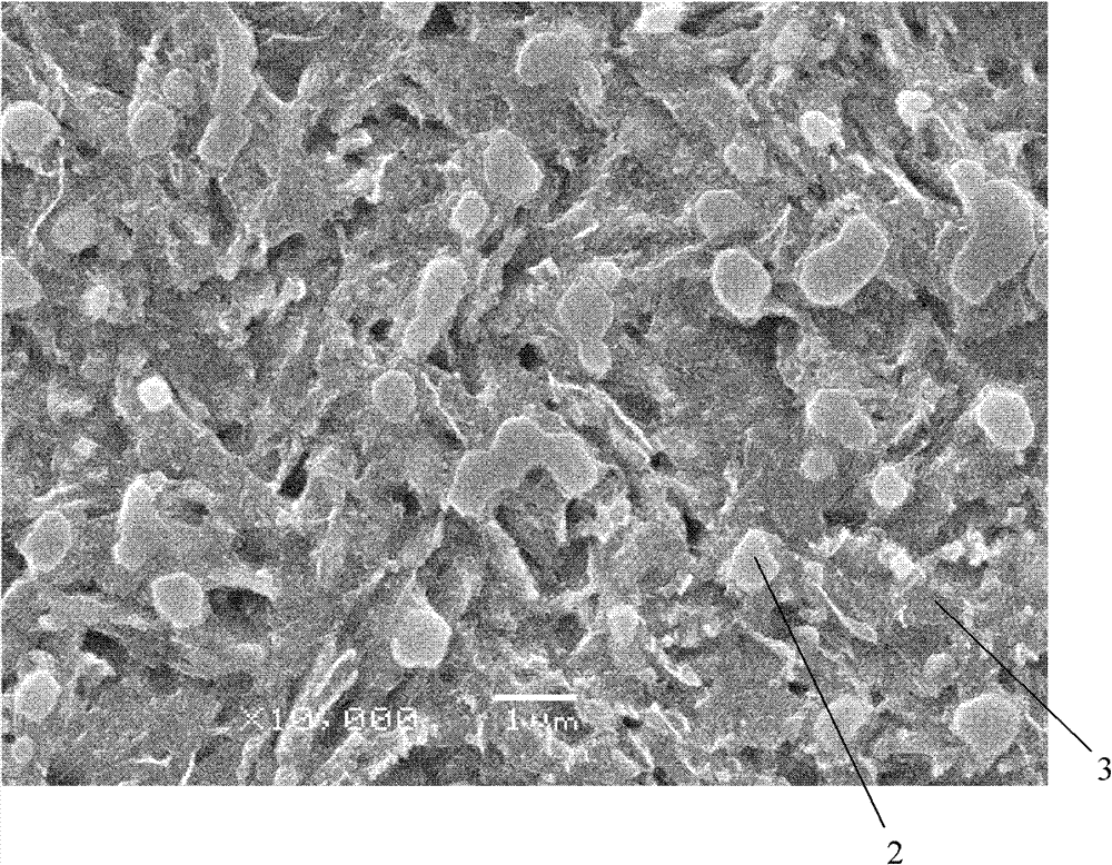 Super-hard copper-containing martensite antibiotic stainless steel