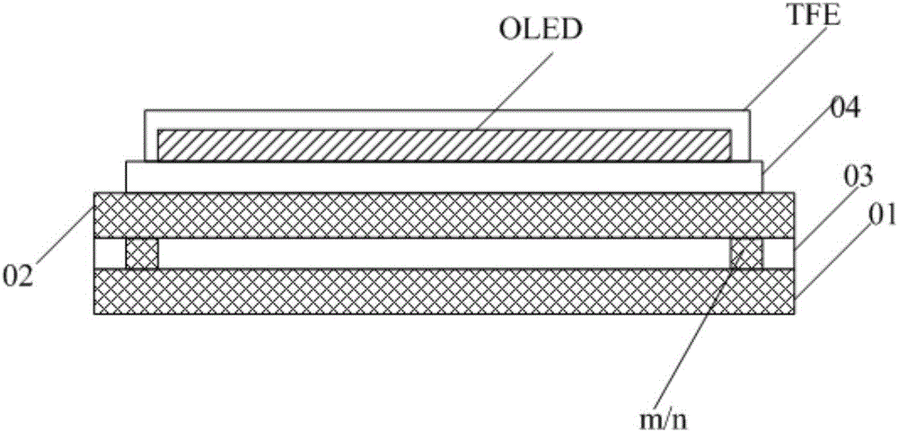 Flexible display panel and display device