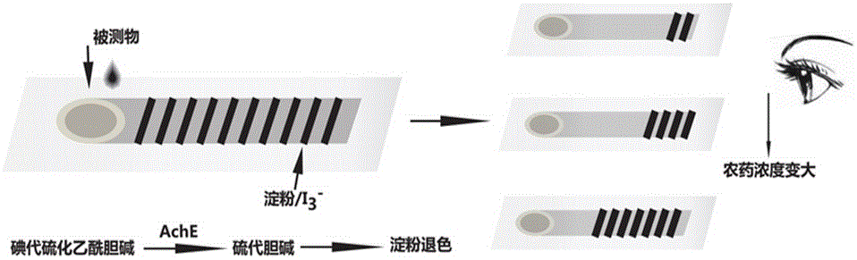 Quick detection card for pesticide residues based on naked eye visual colorimetric determination