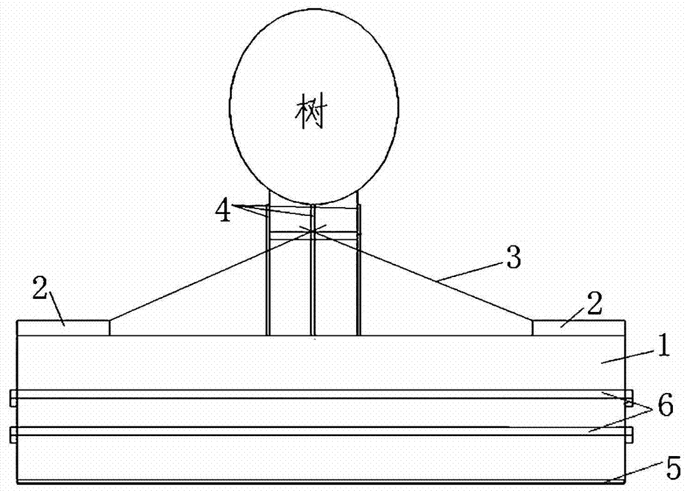 Method using light rail mode to transplant tall and rare tree