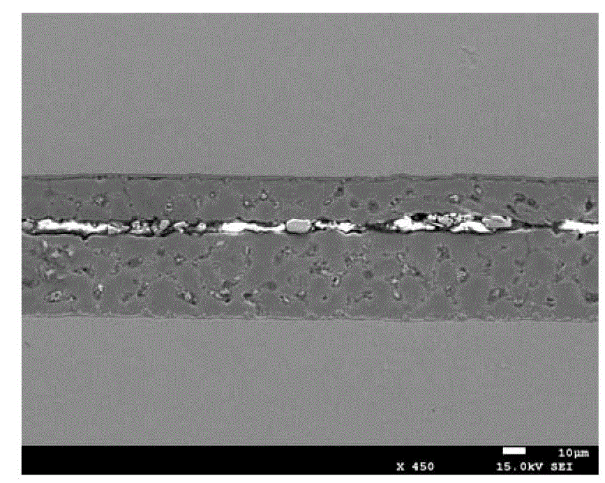 Hot-dipping aluminum-zinc alloy coated steel plate coating structure display method