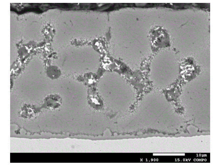 Hot-dipping aluminum-zinc alloy coated steel plate coating structure display method