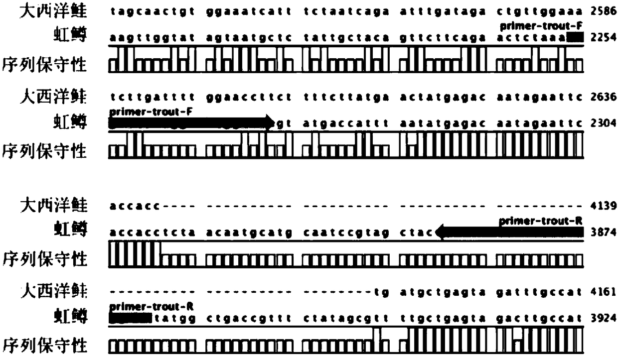 A biosensing assay for the identification of Atlantic salmon and rainbow trout