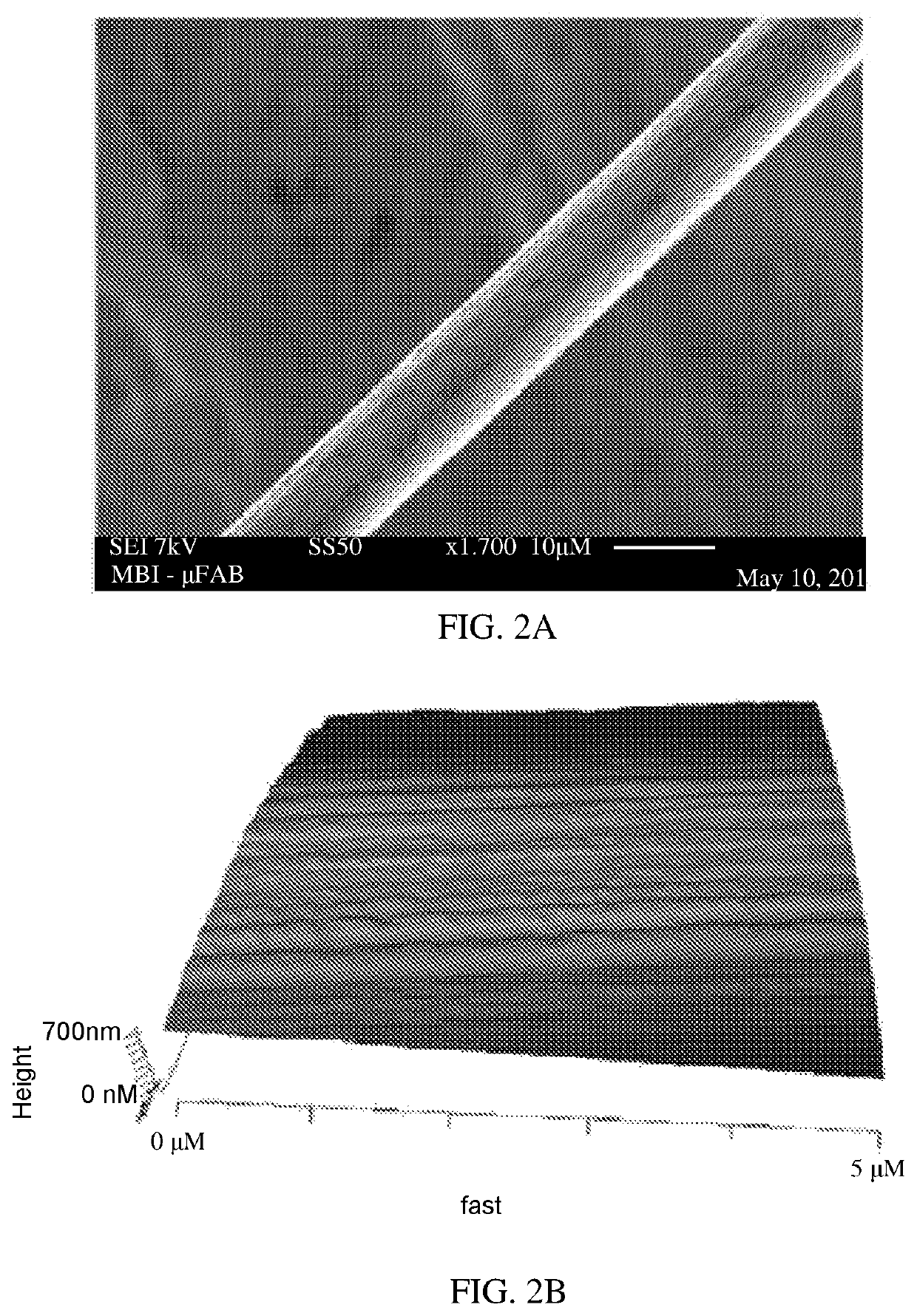 Versatile, flexible and biocompatible elastomeric microtubes