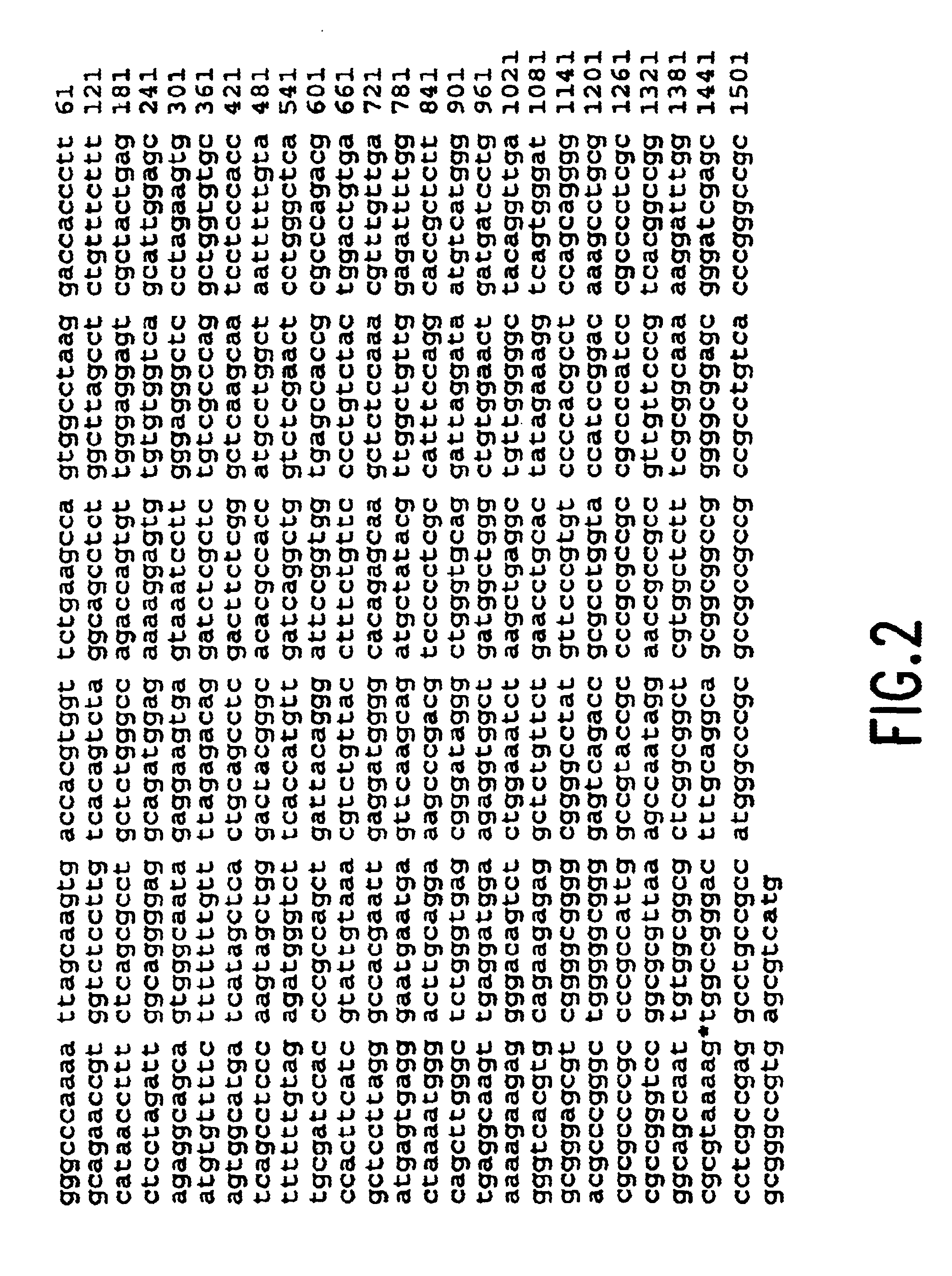 Adenovirus vectors containing cell status-specific response elements and methods of use thereof