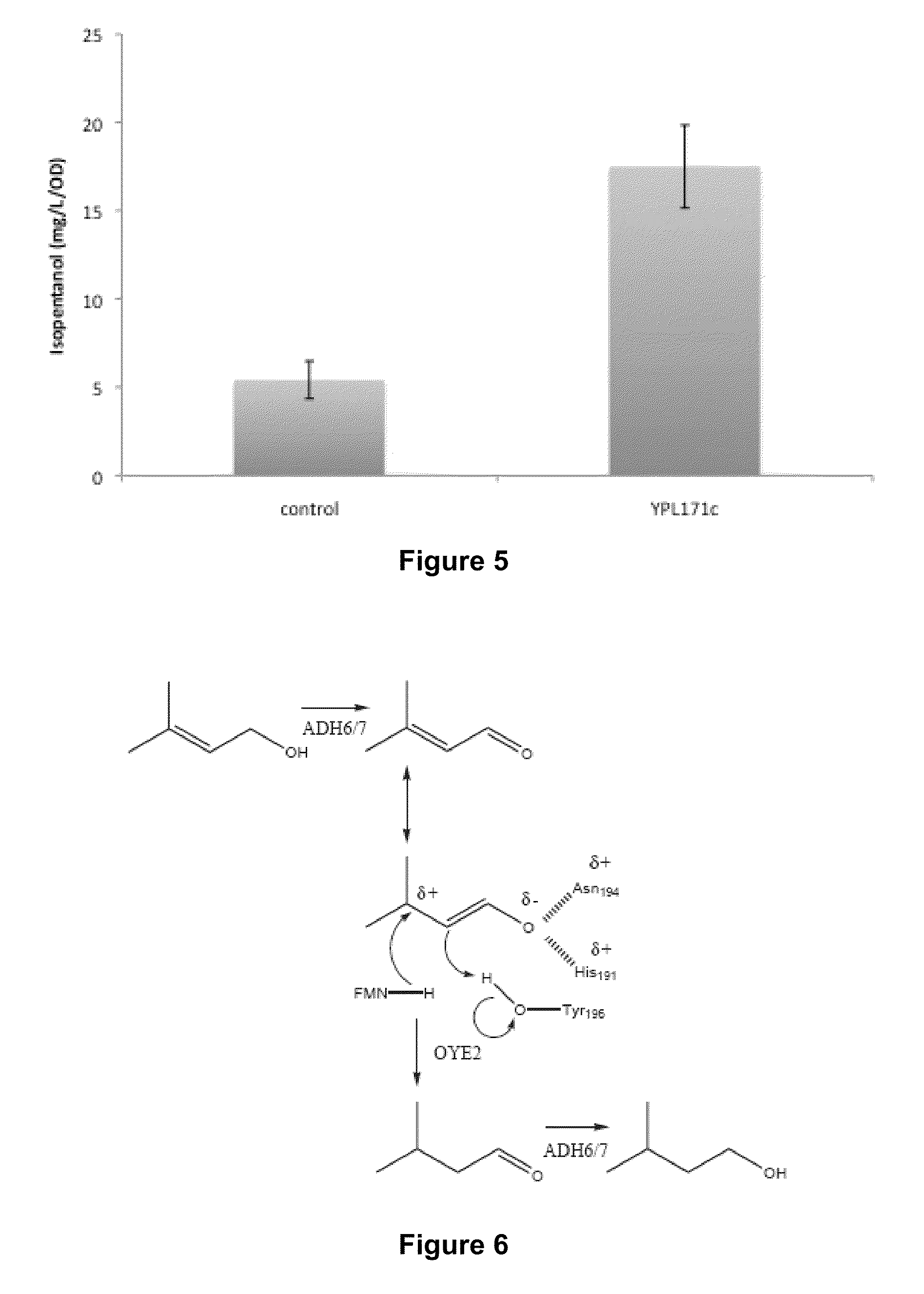 Host Cells and Methods for Producing 3-Methyl-2-buten-1-ol, 3-Methyl-3-buten-1-ol, and 3-Methyl-butan-1-ol