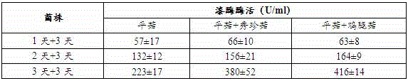 Culture method capable of improving enzymatic activity of laccase