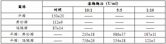 Culture method capable of improving enzymatic activity of laccase