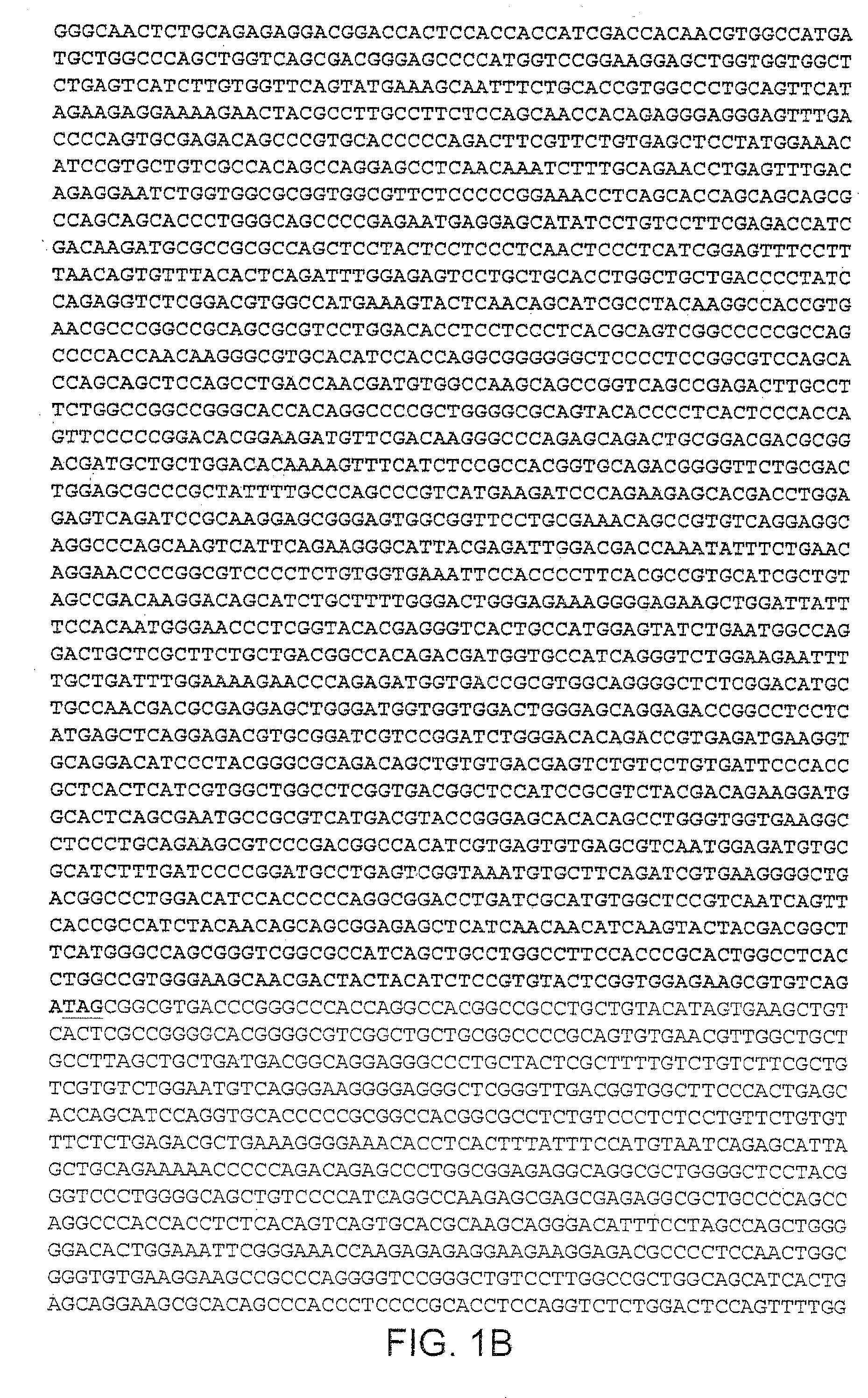 Nucleic Acids Encoding a Mammalian Raptor Polypeptide and Uses Therefor