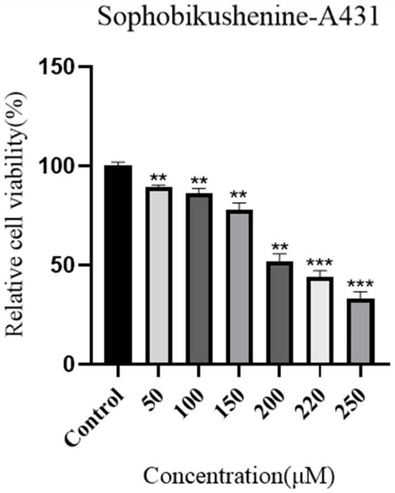 Novel symmetric cytisine type alkaloid compound as well as preparation and application thereof