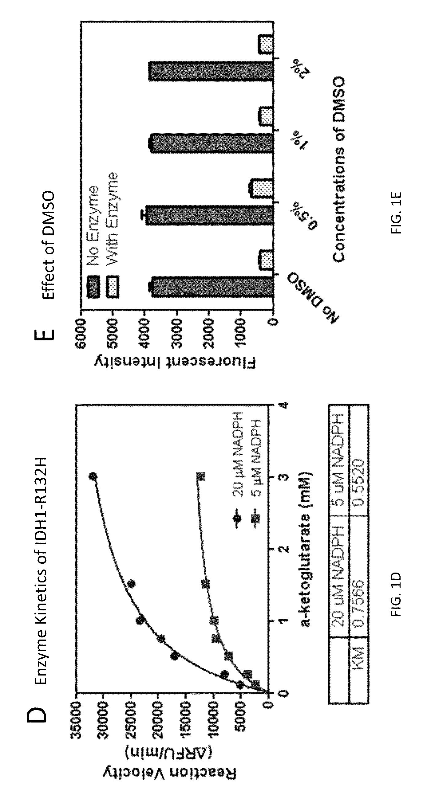 Compounds and methods for the treatment of isocitrate dehydrogenase related diseases