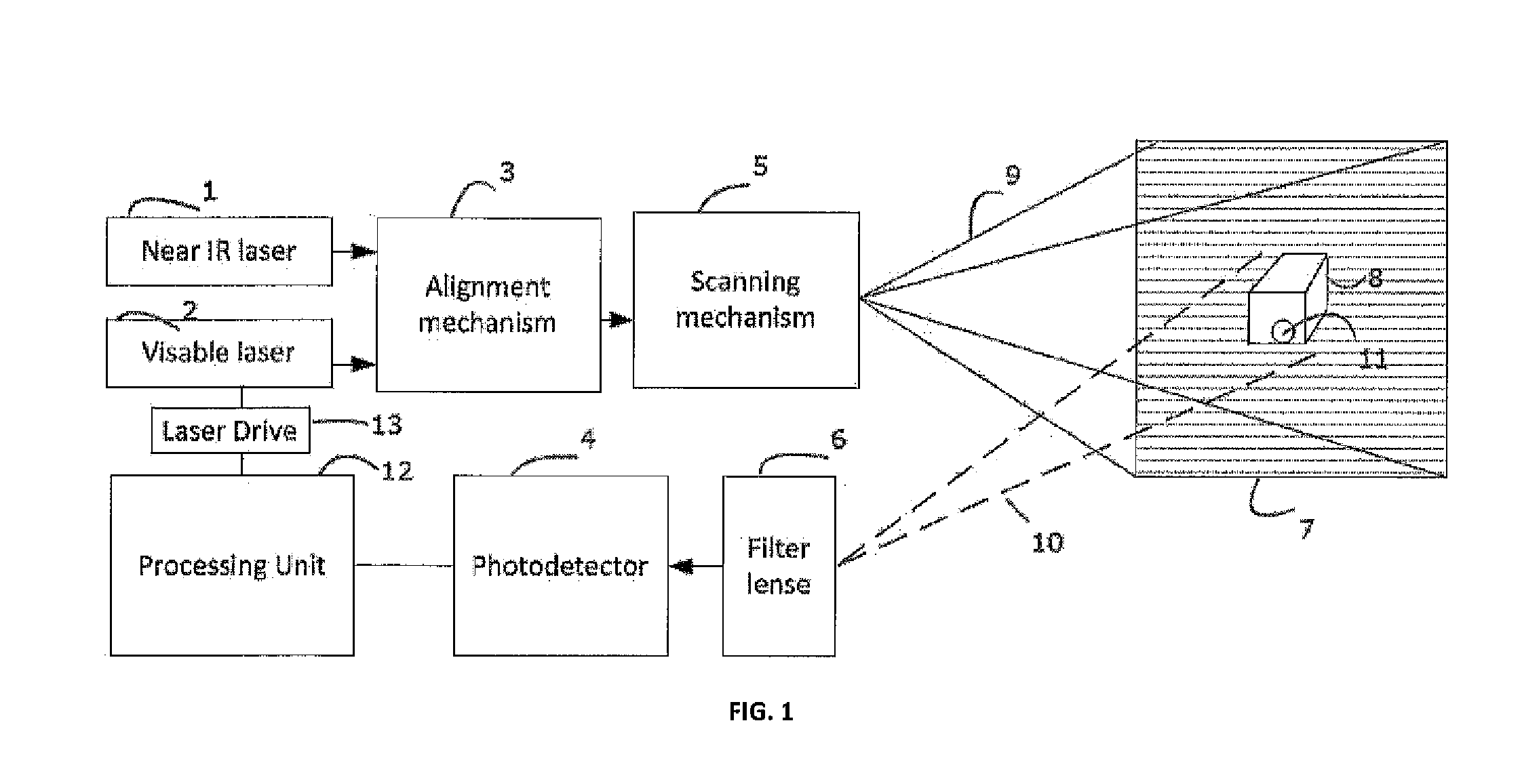 System for Detecting Fluorescence and Projecting a Representative Image