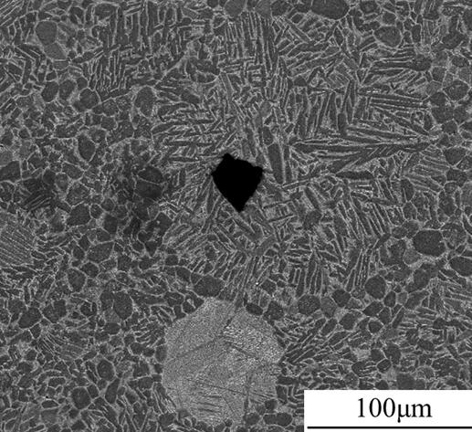 A Step-by-Step Hot Isostatic Pressing Preparation Method of High-performance Powder Metallurgy Titanium Alloy