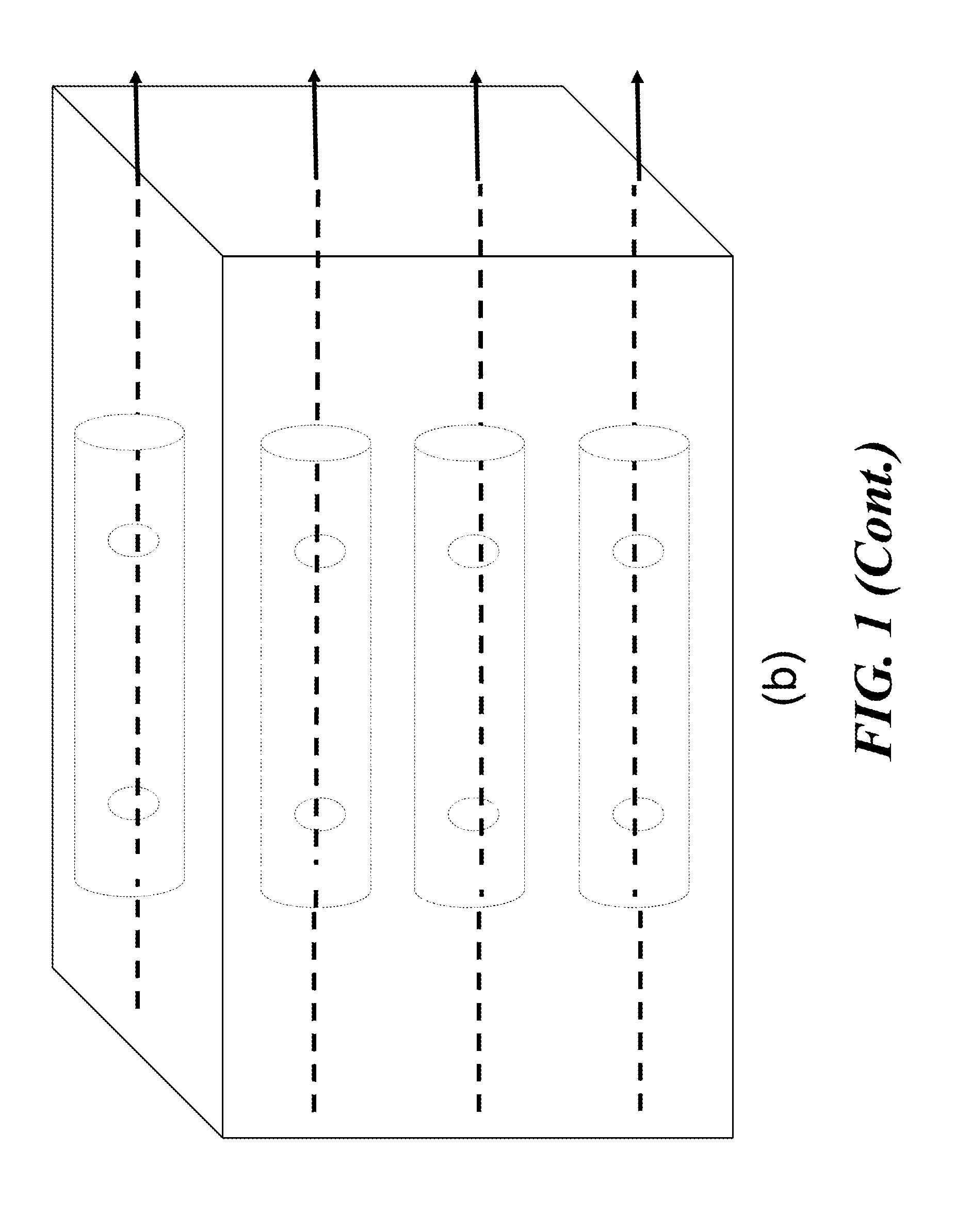 Apparatus for detecting tumor cells