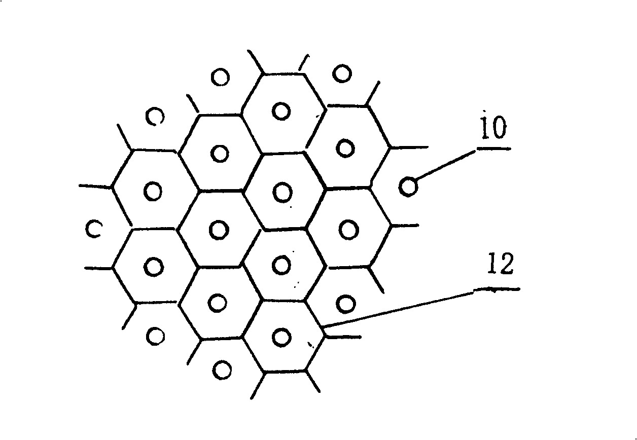 Tail-gas purifier of vehicle