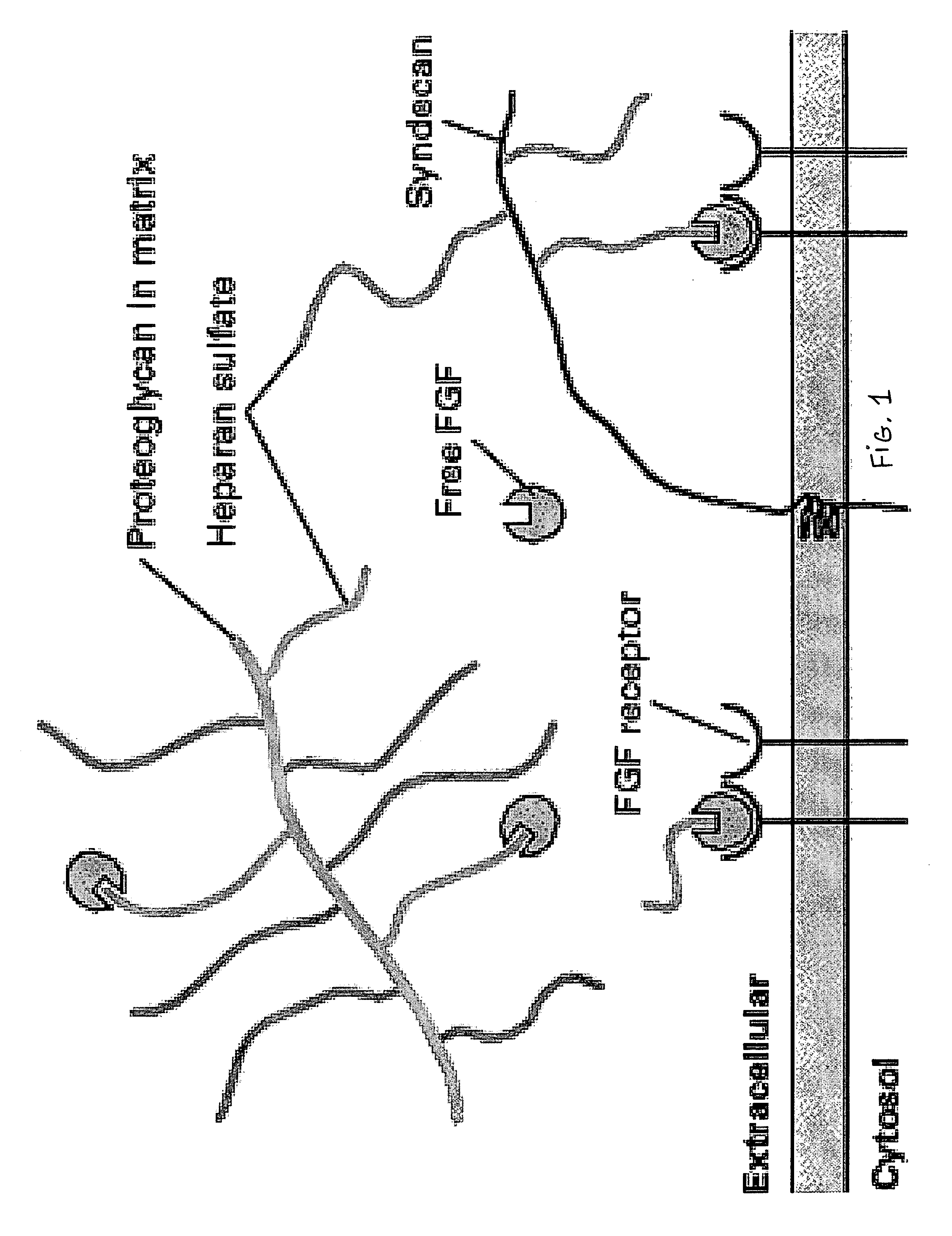 Compositions for regenerating defective or absent myocardium