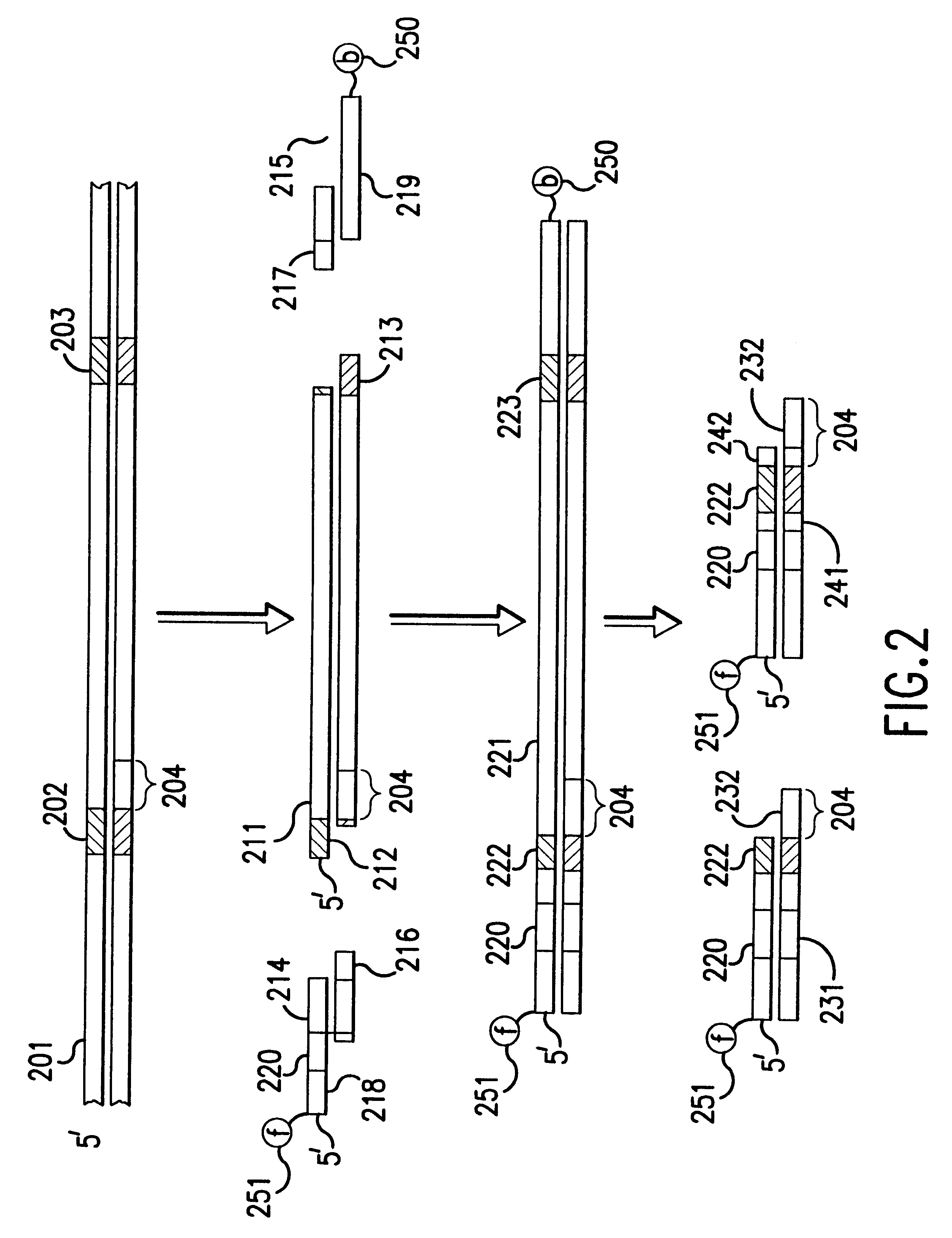 Methods and devices for measuring differential gene expression