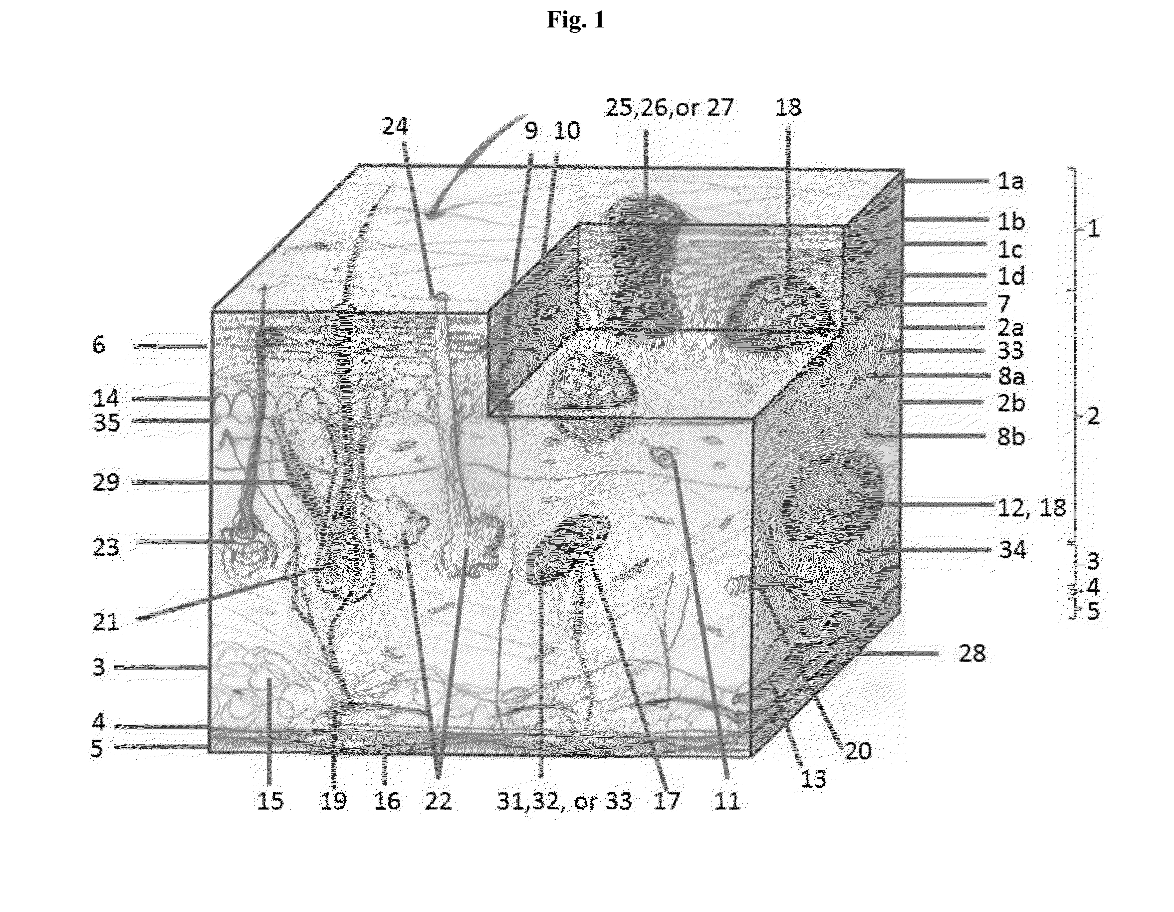 Engineered three-dimensional skin tissues, arrays thereof, and methods of making the same