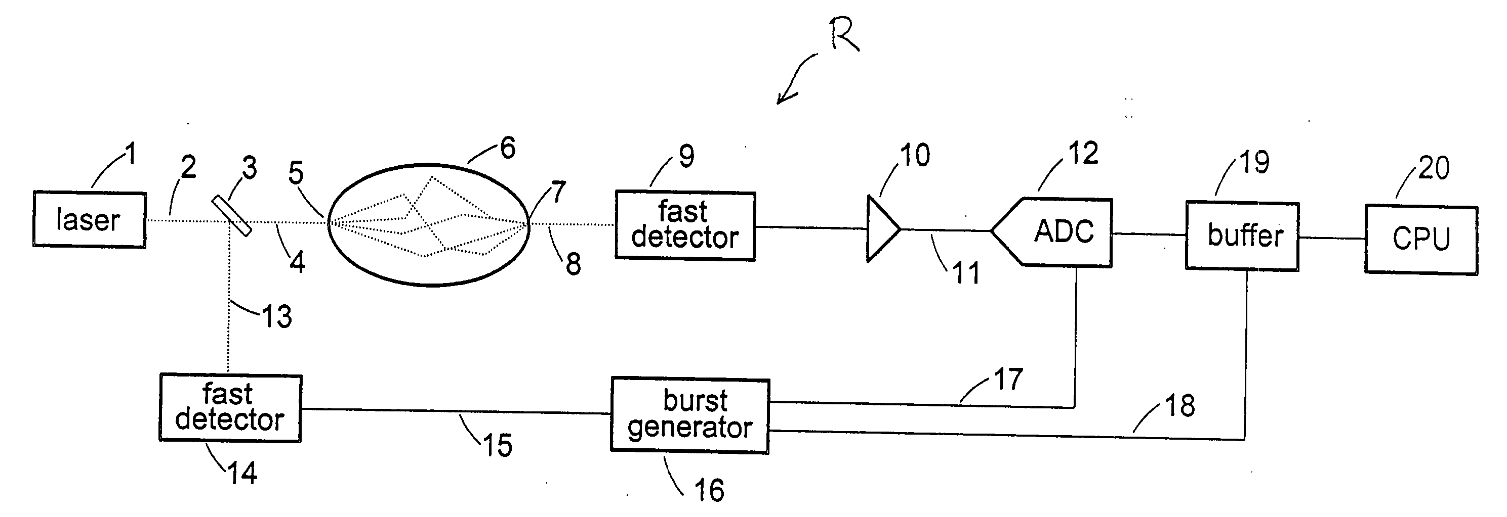 Apparatus and method for acquiring time-resolved measurements utilizing direct digitization of the temporal point spread function of the detected light