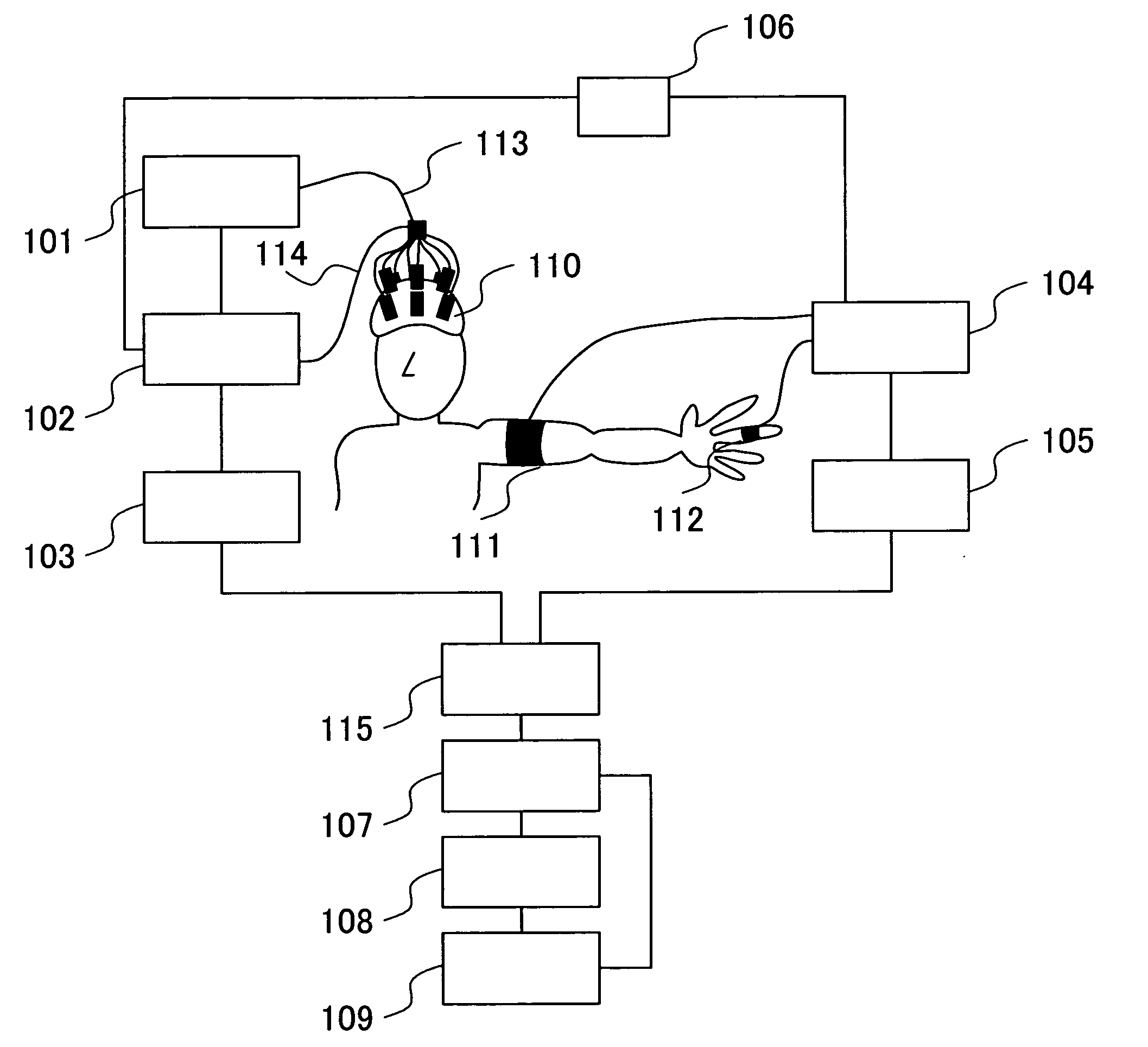 Biological optical measurement system