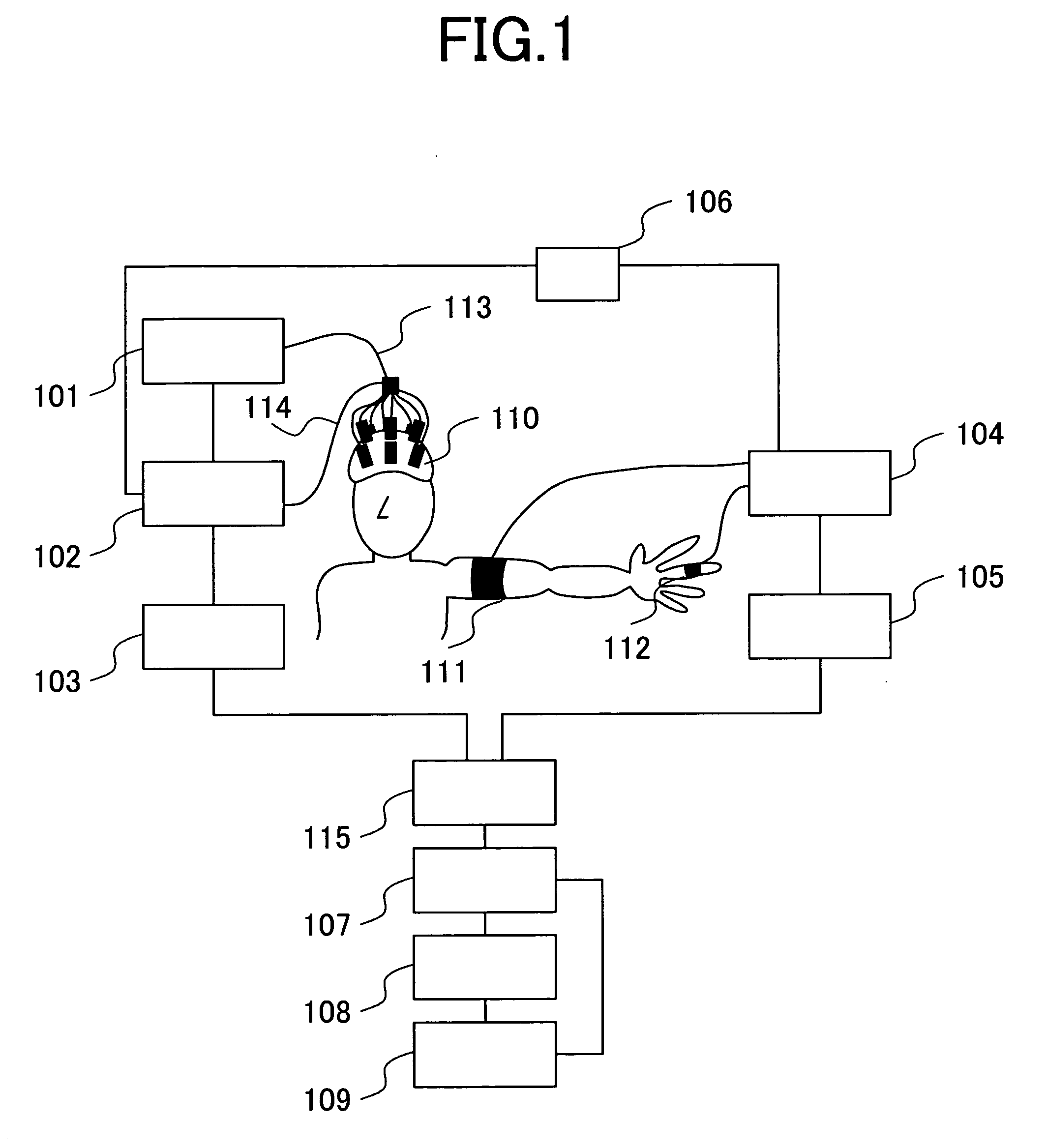 Biological optical measurement system