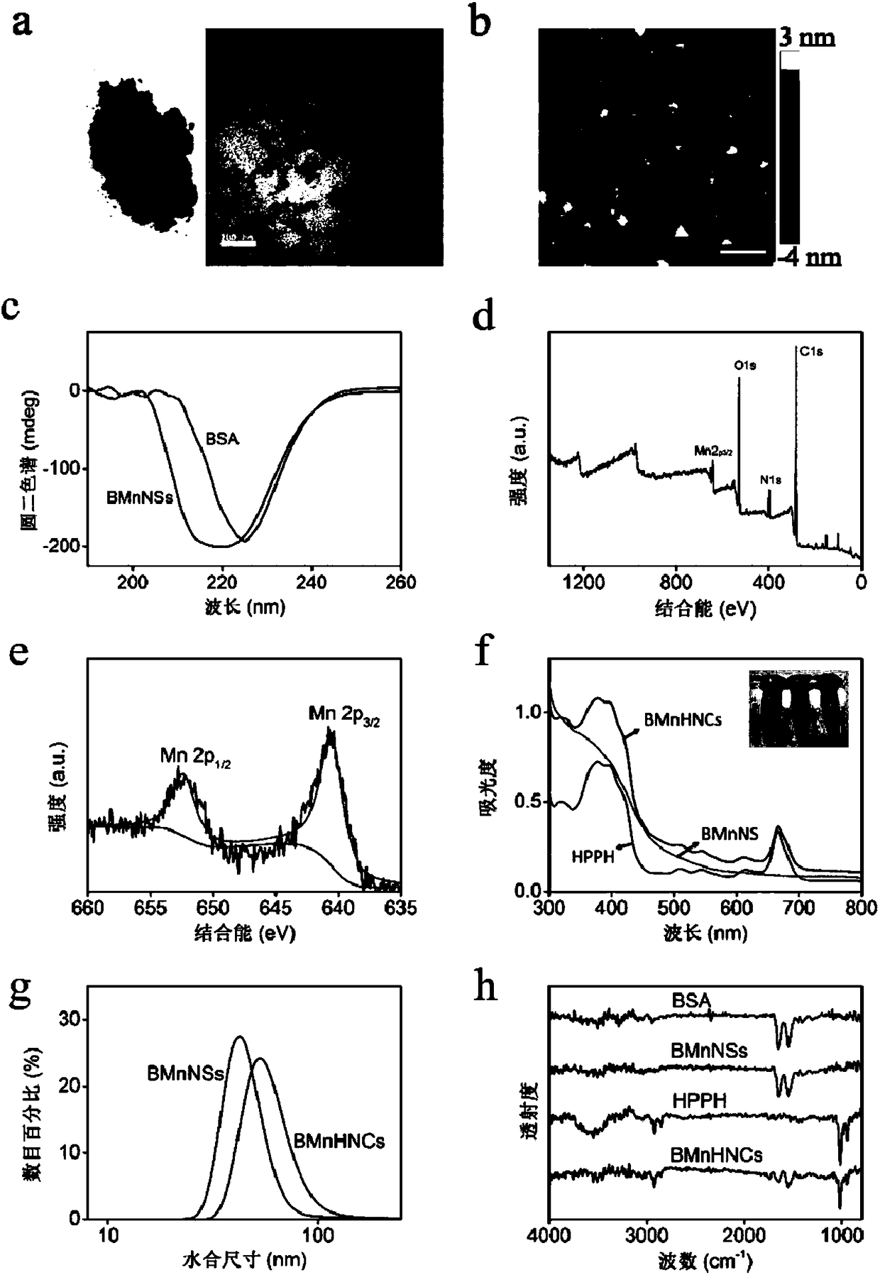 Albumin-stabilized MnO2 nanomaterial as well as preparation method and application