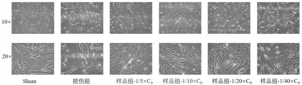 Sheep placenta extracting solution with anti-aging function as well as preparation method and application thereof