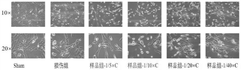 Sheep placenta extracting solution with anti-aging function as well as preparation method and application thereof