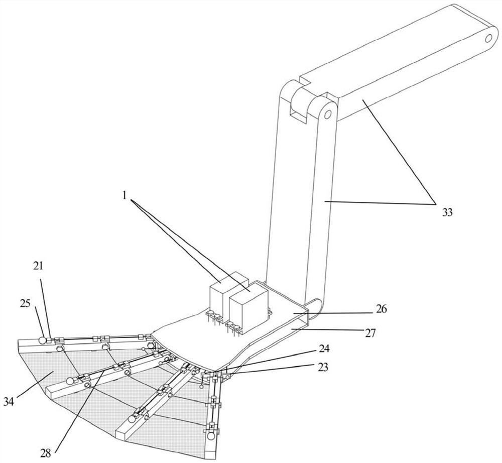 Flipper propelling device imitating posterior limbs of beaver