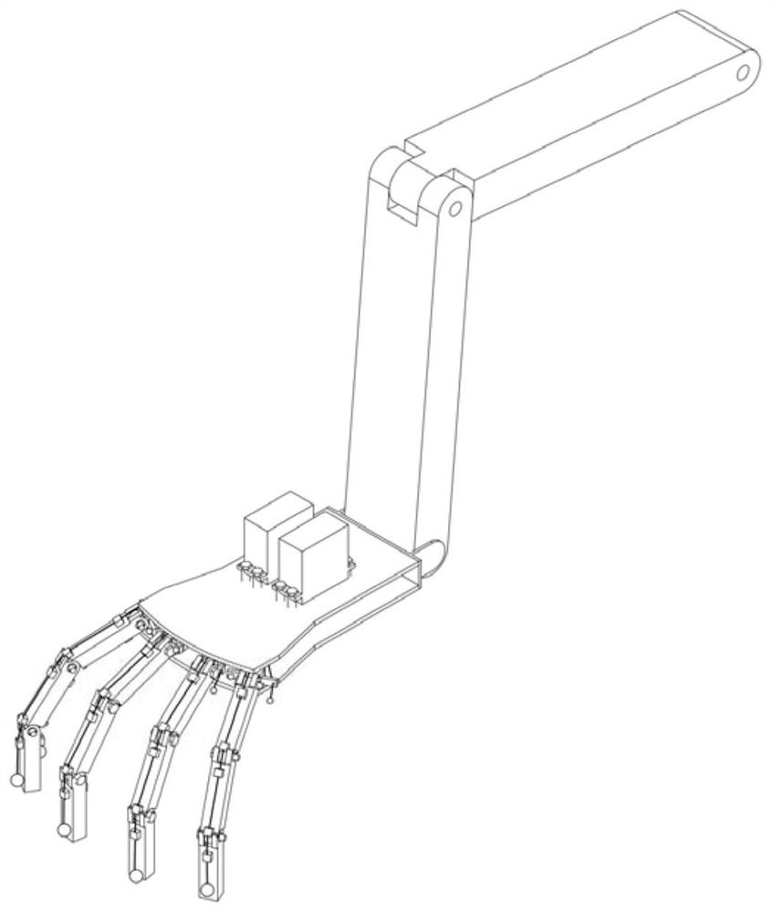 Flipper propelling device imitating posterior limbs of beaver